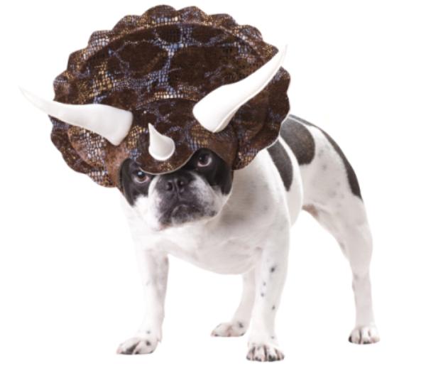 Dog in Triceratops Costume
