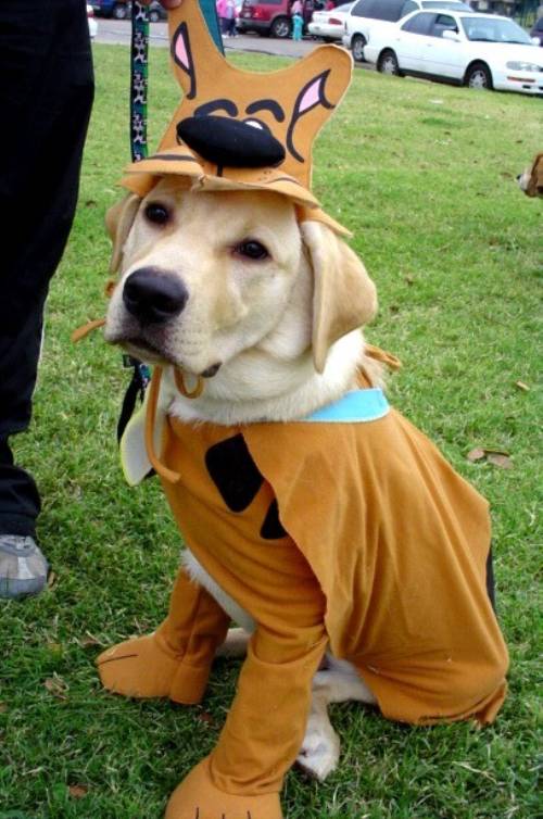 Scooby Doo Dog Costume