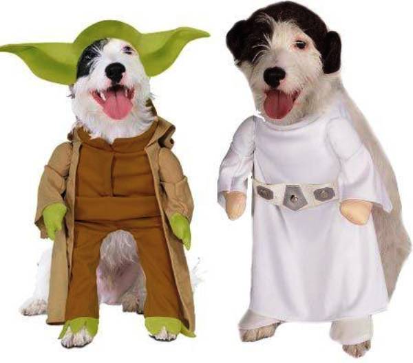 Dog In Star Wars Costumes