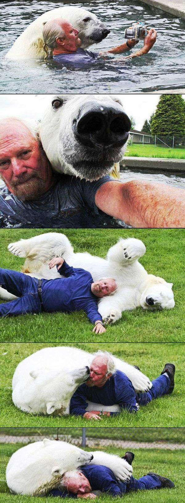 The Benefits Of Being A Polar Bear Zookeeper