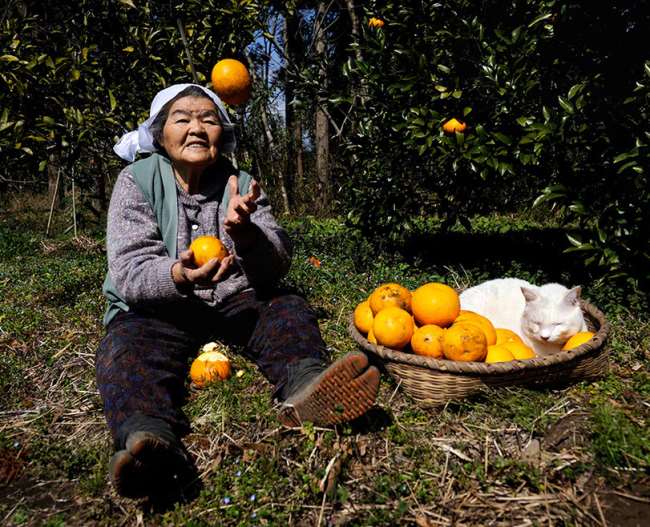 Grandmother and Cat Photograph Oranges
