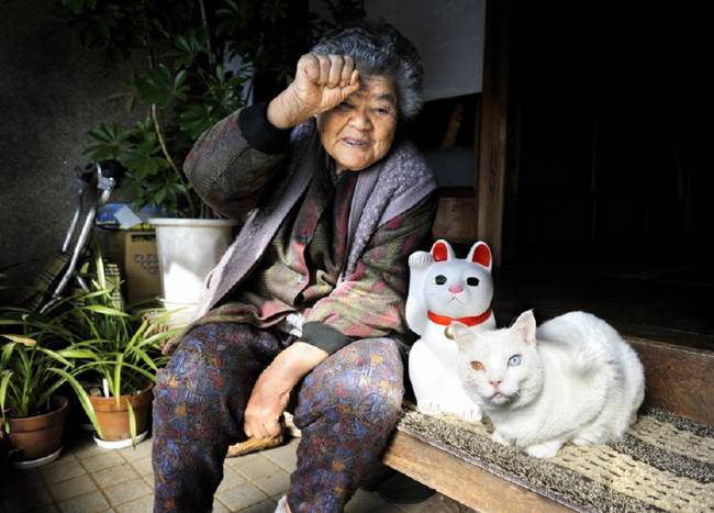 Grandmother and Cat Photograph Sitting