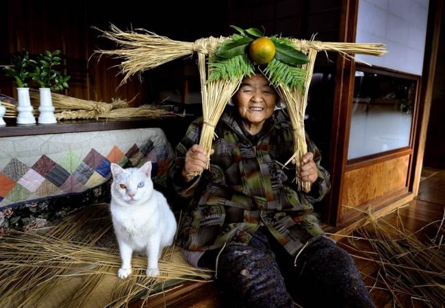 Grandmother and Cat Photograph