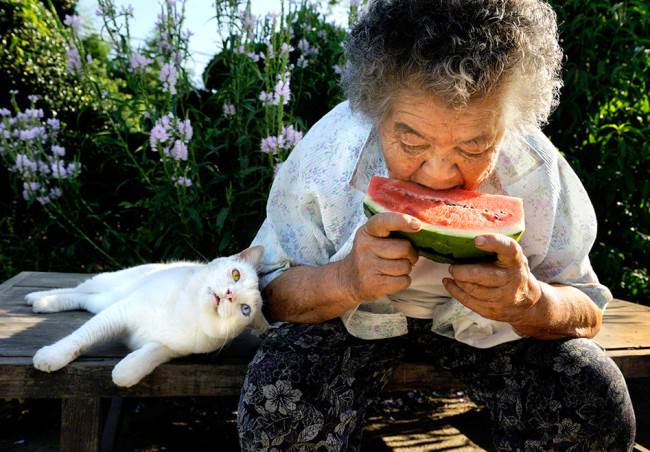 Grandmother and Cat Photograph Watermelon