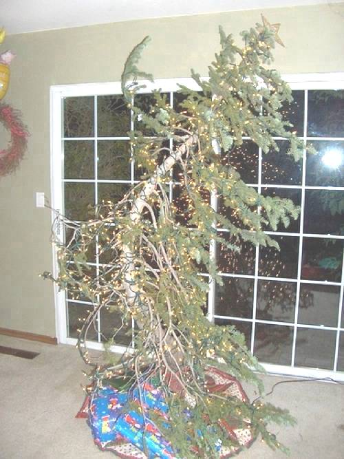 Ugly Christmas Tree Photo