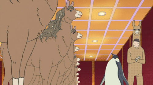 10-llamas-penguin-wtf-anime.gif