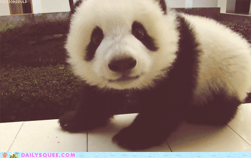 Adorable Panda Cub GIF