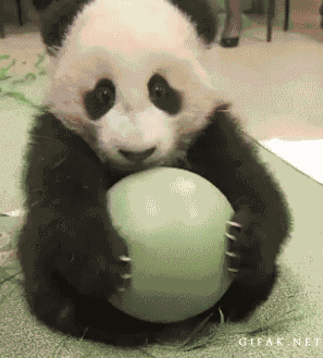 Panda With Ball
