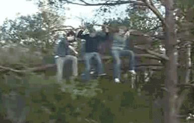 Sawing Tree Branch GIF