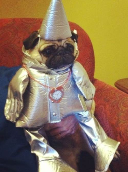 Pug Tin Man Costume