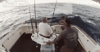 Giant Fish Jumps On Boat