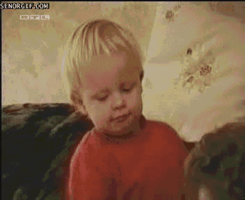 The Funniest GIFs The Internet Has Ever Seen