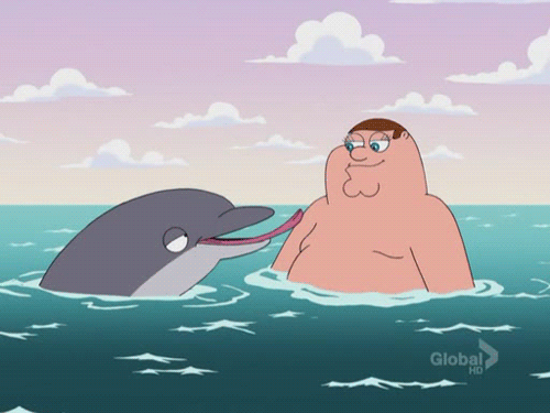 Peter Griffin And Dolphin - Family Guy GIFs
