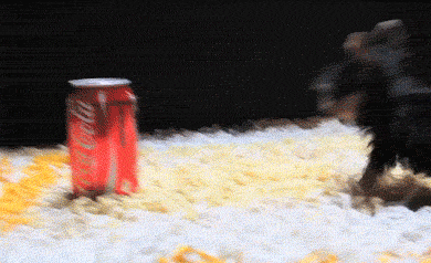 Cutest Dog GIFs Puppy Versus Coke Can