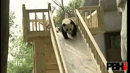 Pandas Love Sliding