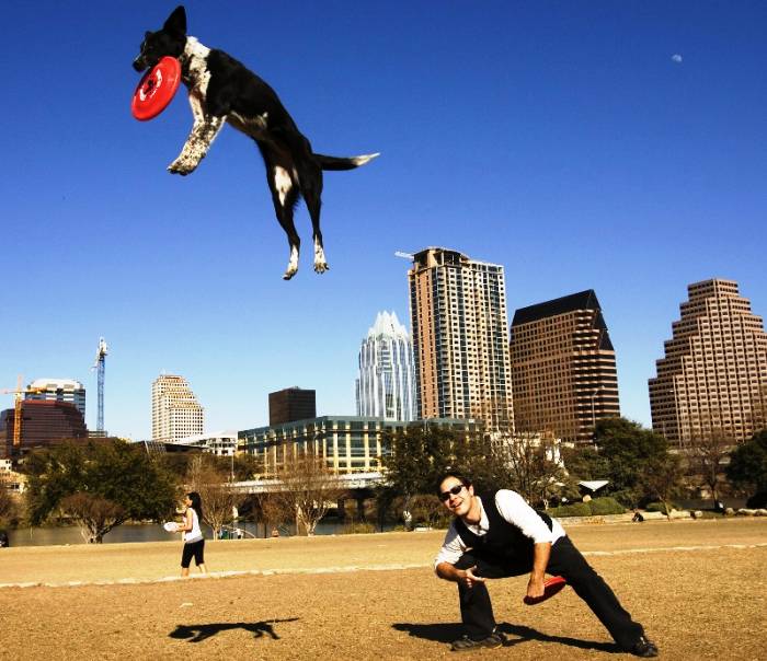 An Incredible Dog Trick