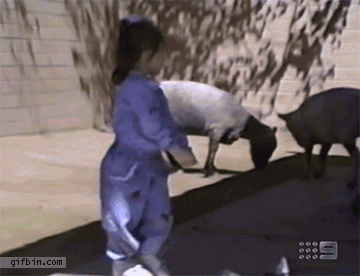 Girl Trips Over Goats Best Fail GIFs