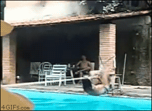 There Goes The Roof GIF