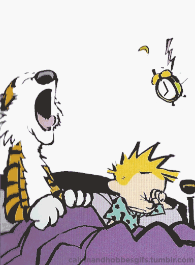 Calvin And Hobbes Animated GIFs