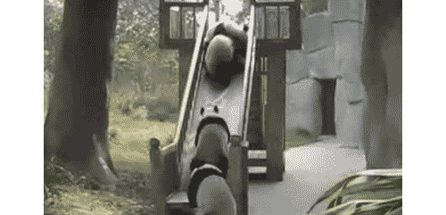 Panda Cubs Tumble Down A Slide GIF