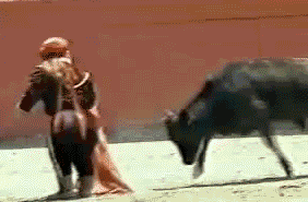 Animals Being Complete Jerks GIF Bull Payback