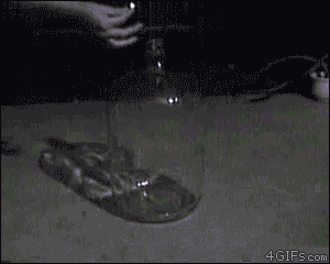 Flammable Gas Lit In A Glass Jar GIF