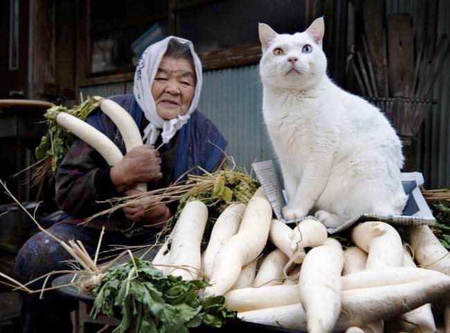 Grandmother and Cat Photograph Newspaper