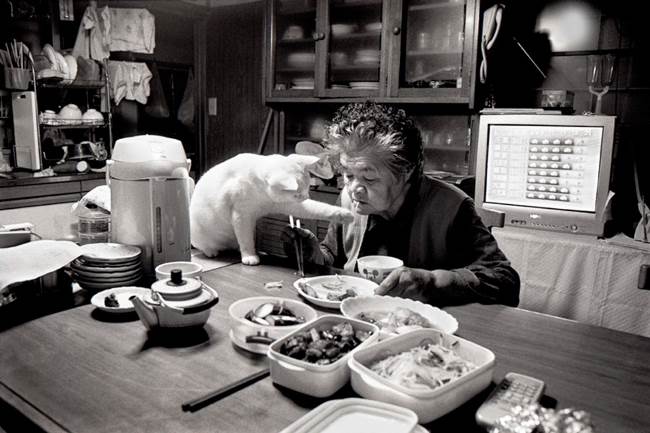 Grandmother and Cat Photograph Eating