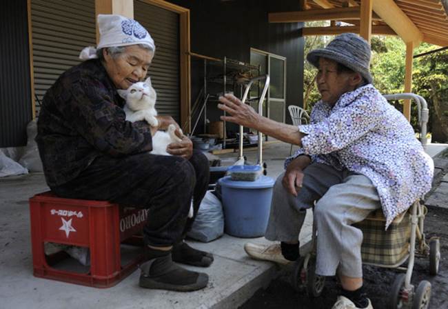 Grandmother and Cat Photograph Hugs