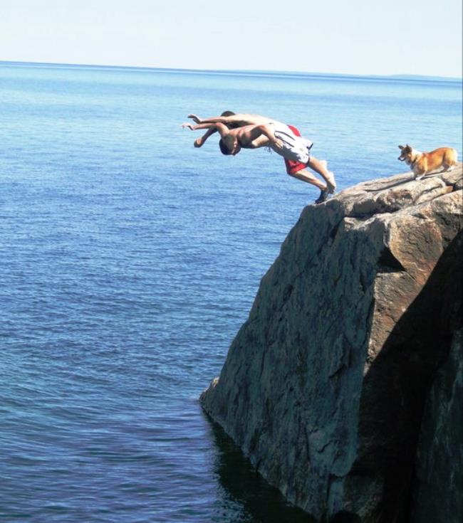 Adventure Corgi Diving