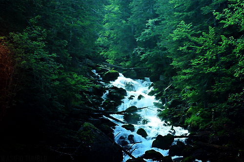 stunning-landscape-cityscape-gifs-forrest-river