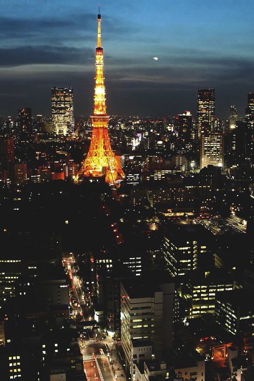 stunning-landscape-cityscape-gifs-tokyo