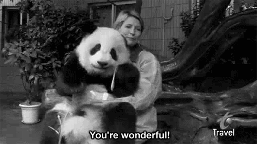 Pandas Are Wonderful
