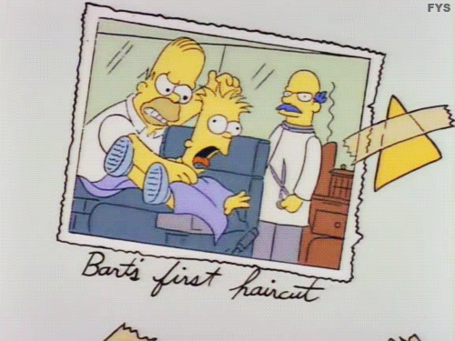 Bart And Homer GIF