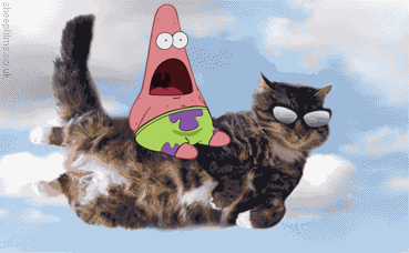 Funny Flying Cat GIF