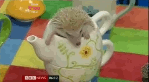 Hedgehog Tea Party