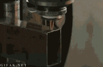 science and technology