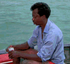 Double Take GIF Reactions