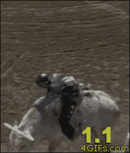 Rodeo Clown Boss Animated GIFs