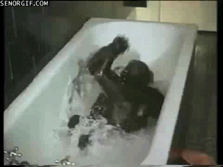 Flailing Monkey GIF