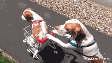 Best Dog GIF Shopping Cart