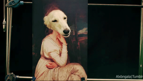 Funny Dog GIF Painting