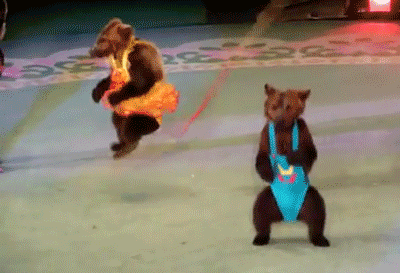 Jumping Bears