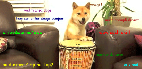 Shibe Plays The Drums