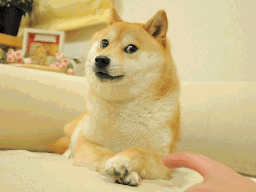 Doge GIFs Touch