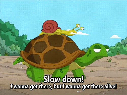 Snail And Turtle GIF