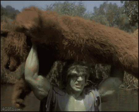 Action Movie GIFs Hulk Hates Bears