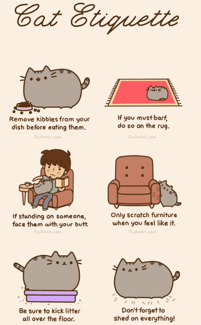 Cat Etiquette