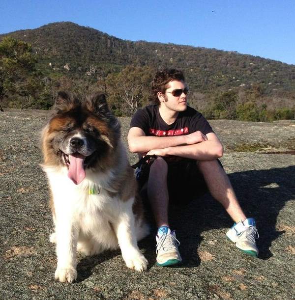 Cutest Akita Photo Mountains