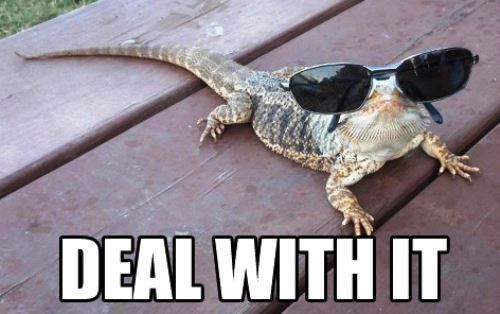 Deal With It